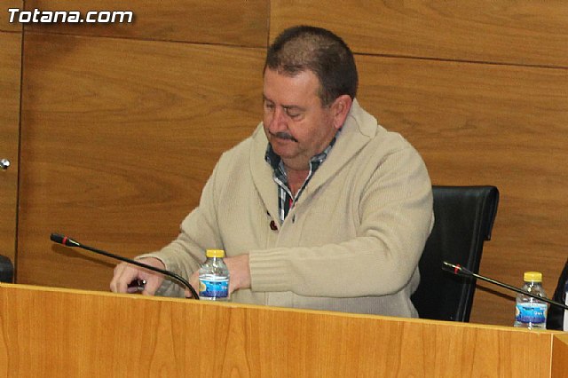 Pleno ordinario enero 2015 - 18