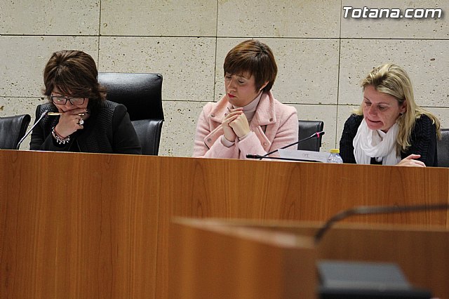 Pleno ordinario enero 2015 - 19