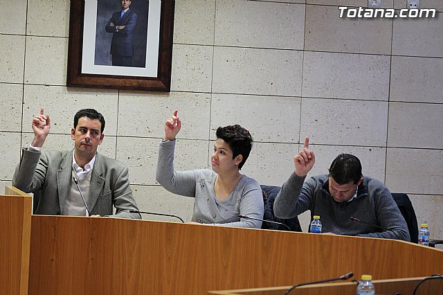 Pleno ordinario enero 2015 - 21