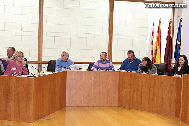 Pleno ordinario enero 2015 - 33