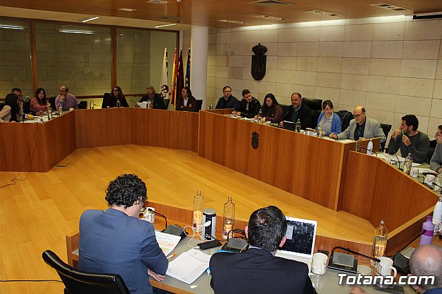 Pleno ordinario enero 2020 - 1