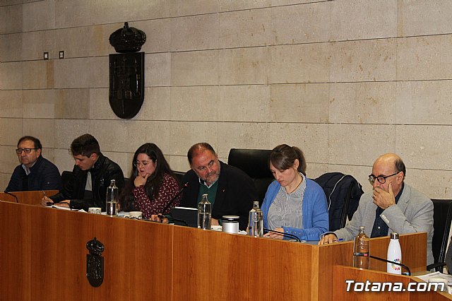 Pleno ordinario enero 2020 - 3