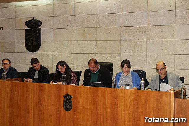 Pleno ordinario enero 2020 - 4