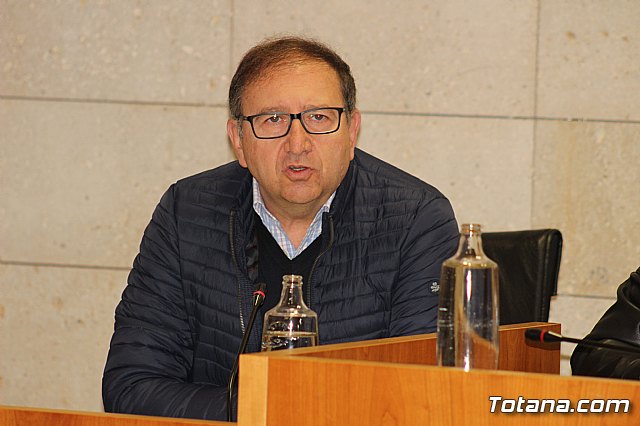 Pleno ordinario enero 2020 - 6