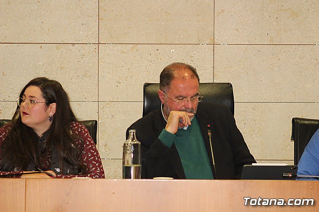 Pleno ordinario enero 2020 - 7