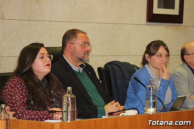 Pleno ordinario enero 2020 - 9