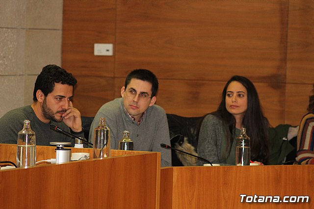 Pleno ordinario enero 2020 - 10