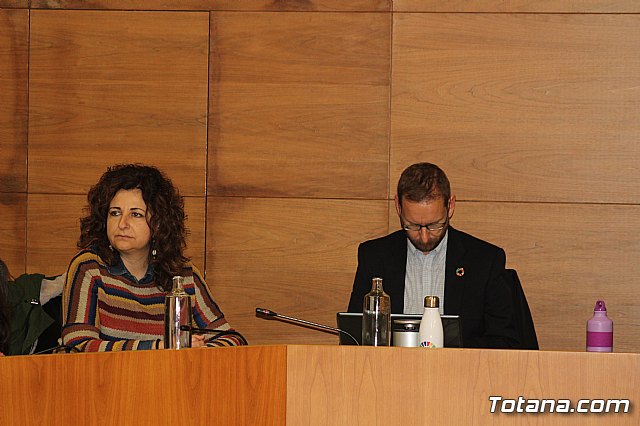 Pleno ordinario enero 2020 - 11