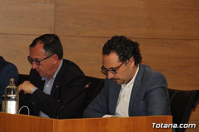 Pleno ordinario enero 2020 - 13