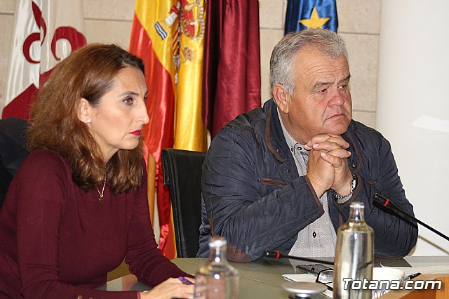 Pleno ordinario enero 2020 - 19