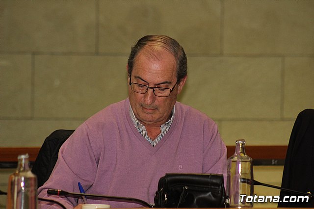 Pleno ordinario enero 2020 - 22