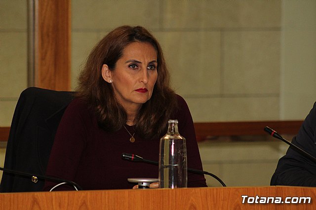 Pleno ordinario enero 2020 - 23