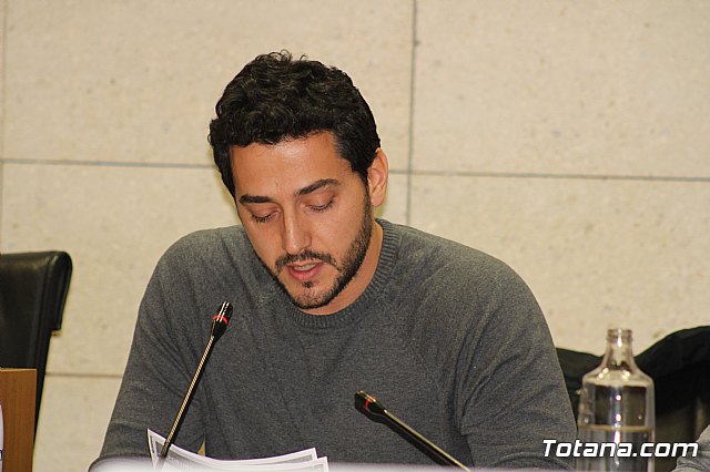 Pleno ordinario enero 2020 - 27