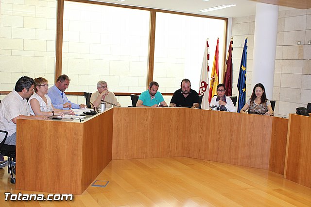 Pleno ordinario abril 2015 - 2