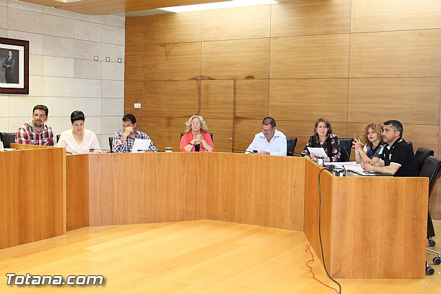 Pleno ordinario abril 2015 - 3