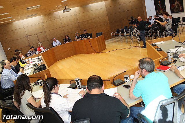 Pleno ordinario abril 2015 - 8