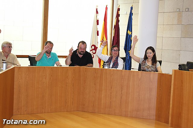 Pleno ordinario abril 2015 - 12