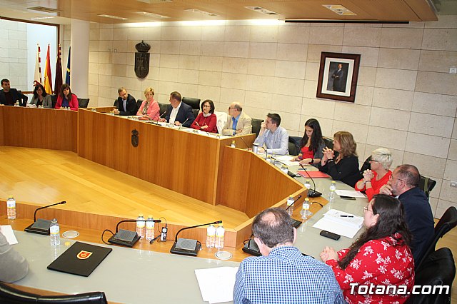 Pleno ordinario abril 2019 - 13