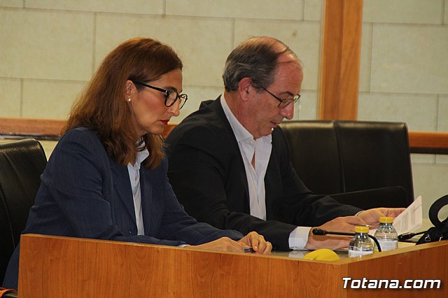 Pleno ordinario abril 2019 - 24