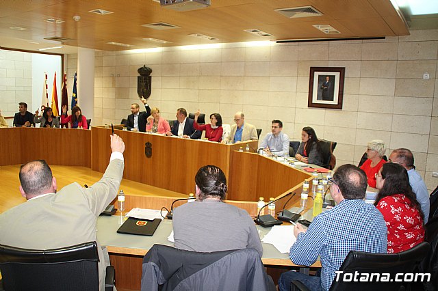 Pleno ordinario abril 2019 - 32