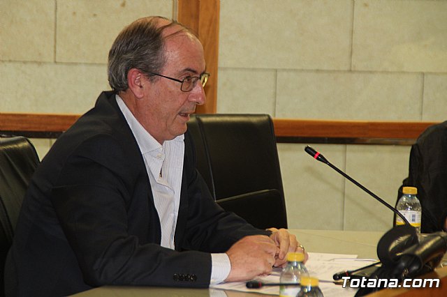 Pleno ordinario abril 2019 - 40