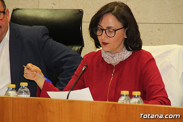 Pleno ordinario abril 2019 - 46