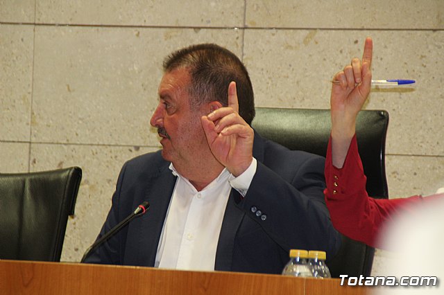 Pleno ordinario abril 2019 - 48