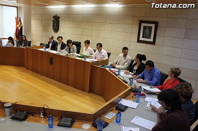 Pleno ordinario mayo 2013 - 1