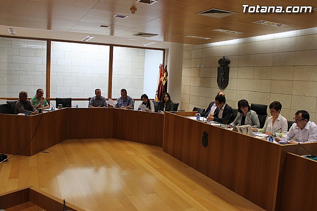Pleno ordinario mayo 2013 - 2