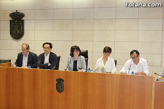 Pleno ordinario mayo 2013 - 3