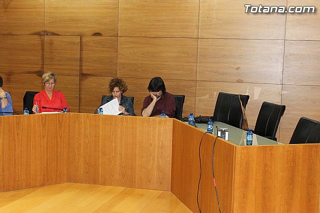 Pleno ordinario mayo 2013 - 7