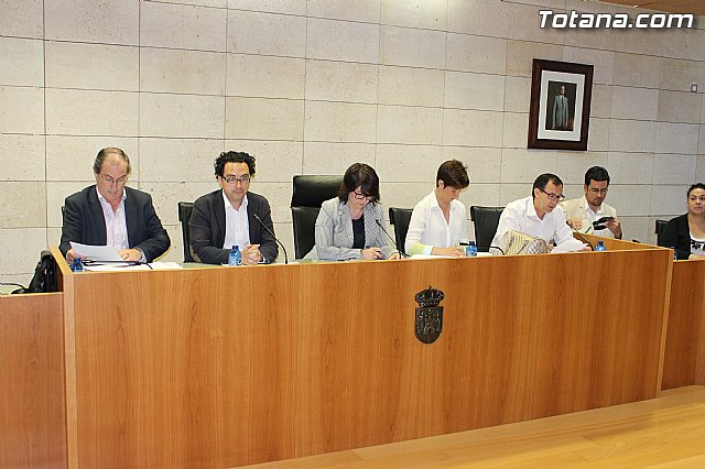 Pleno ordinario mayo 2013 - 8