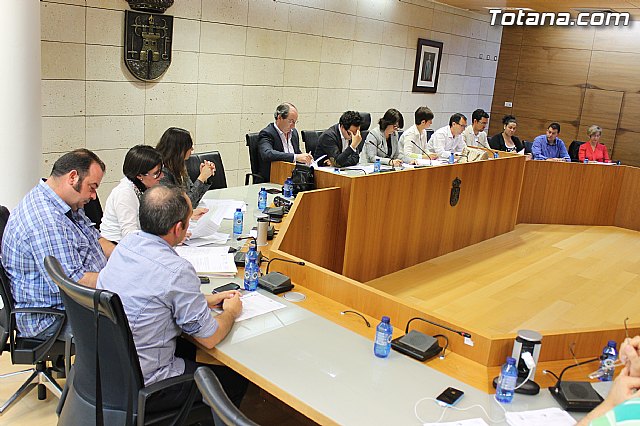 Pleno ordinario mayo 2013 - 12