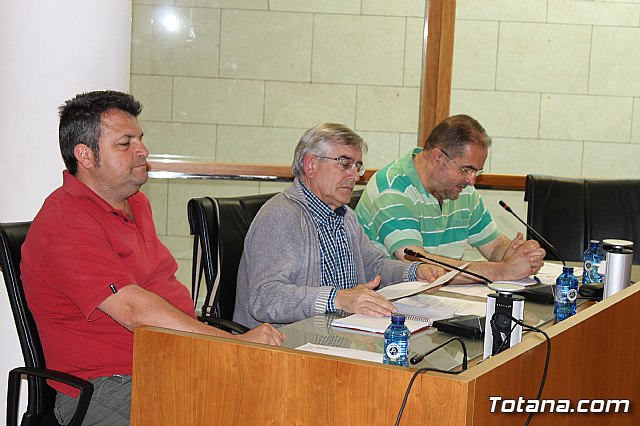 Pleno ordinario mayo 2013 - 14