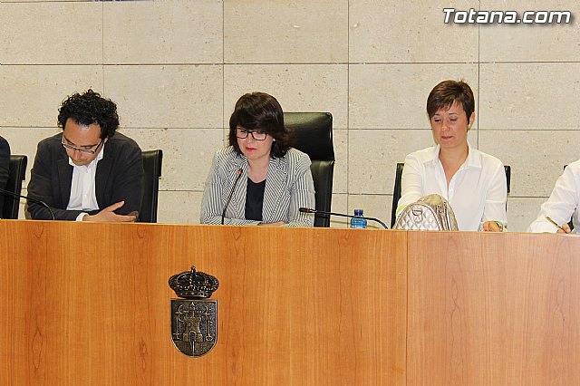 Pleno ordinario mayo 2013 - 17