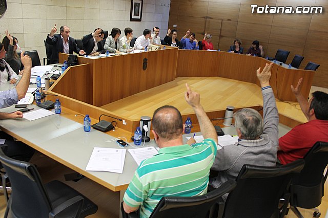Pleno ordinario mayo 2013 - 24
