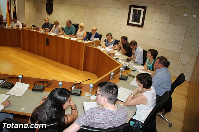 Pleno ordinario junio 2016 - 12