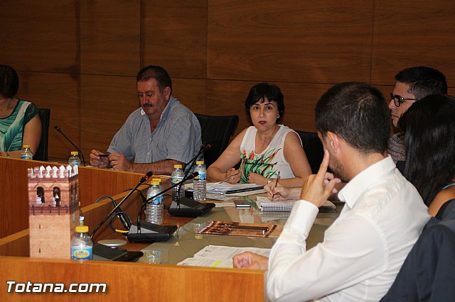 Pleno ordinario junio 2016 - 43