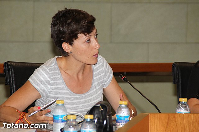 Pleno ordinario junio 2016 - 47