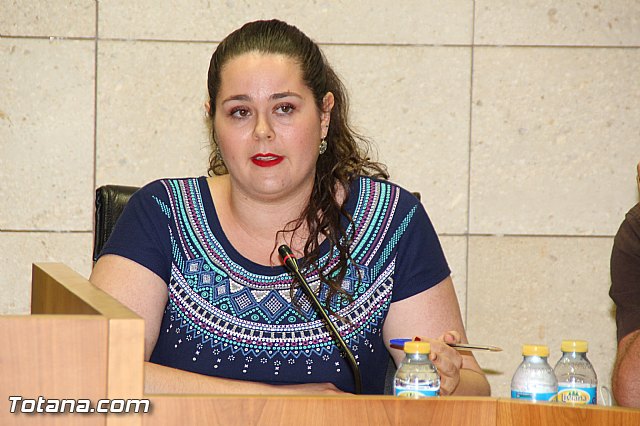 Pleno ordinario junio 2016 - 48