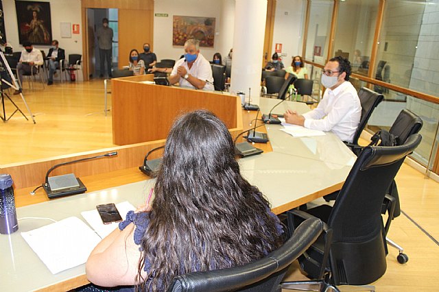 Pleno ordinario julio 2020 - 4