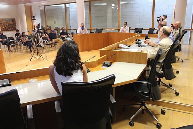 Pleno ordinario julio 2020 - 6