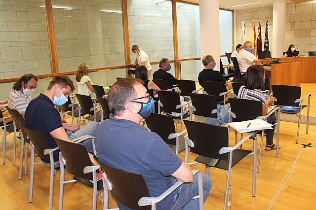 Pleno ordinario julio 2020 - 10