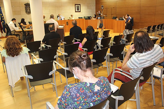 Pleno ordinario julio 2020 - 13