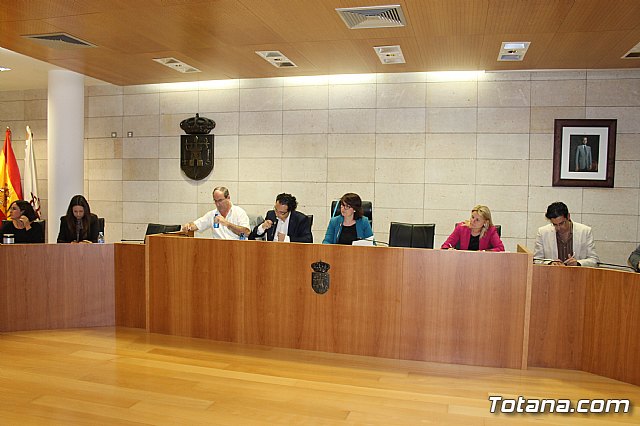 Pleno ordinario octubre 2013 - 1