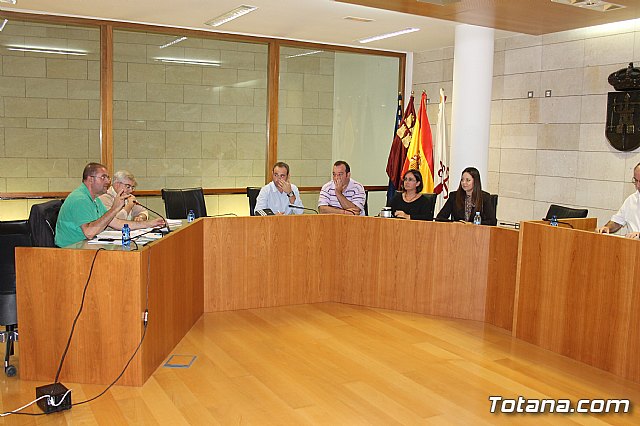 Pleno ordinario octubre 2013 - 2