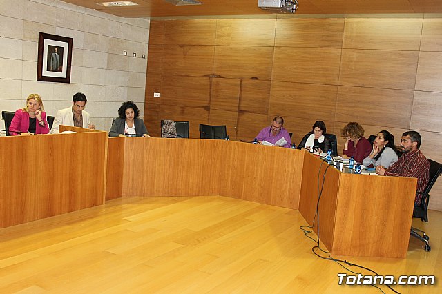 Pleno ordinario octubre 2013 - 3