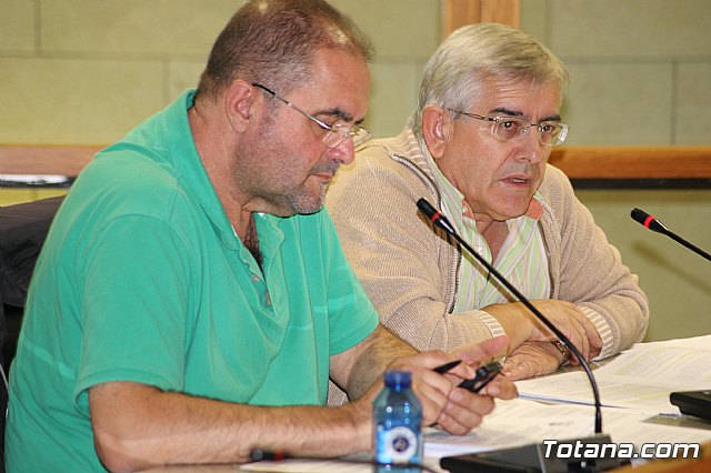 Pleno ordinario octubre 2013 - 5