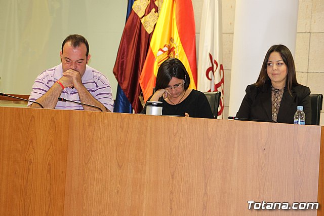 Pleno ordinario octubre 2013 - 6