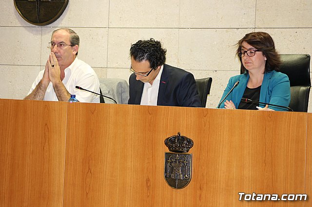 Pleno ordinario octubre 2013 - 7